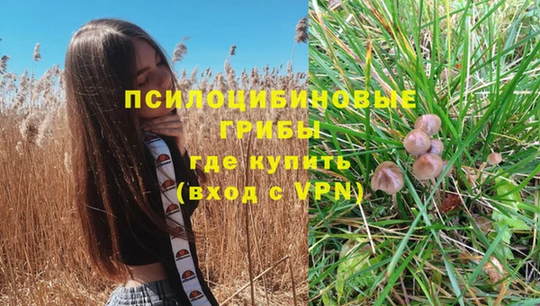 mdpv Приозерск